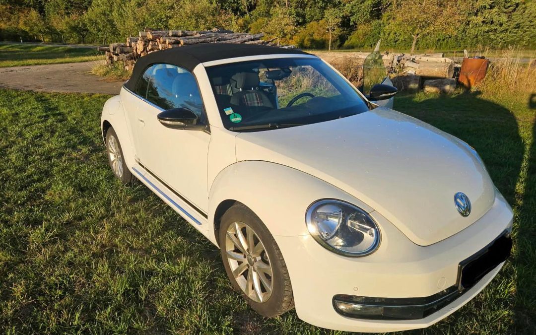 VW MAGGIOLINO CABRIO (New Beetle)